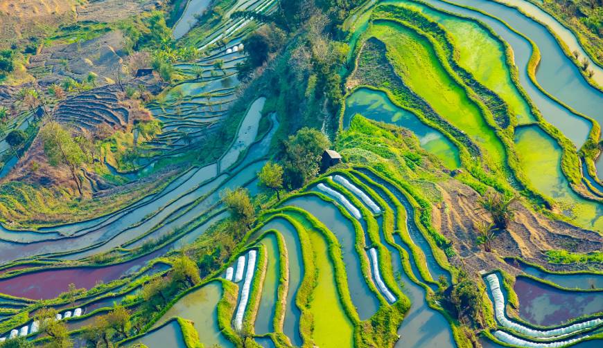 宝妈必备神器：陇南产品视频拍摄轻松育儿好帮手